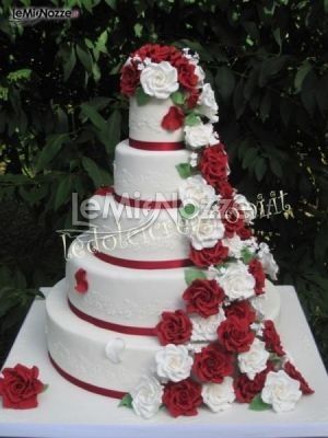 la mia torta............