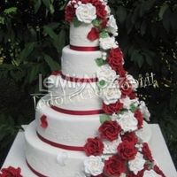 la mia torta............