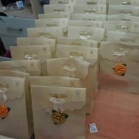  Opinioni sulla mia wedding bag - 1