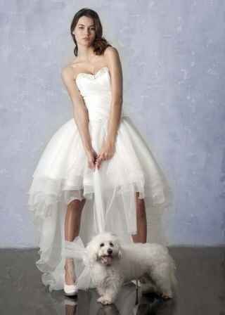 Abiti sexy cercasi !!!!! - 2