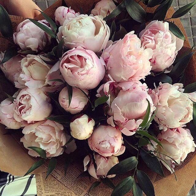 Qual è il vostro fiore? - 1