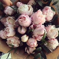 Qual è il vostro fiore? - 1