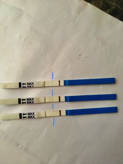 Temperatura basale - 1