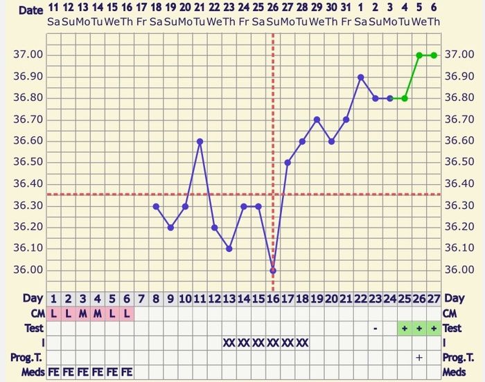 Temperatura basale - 1