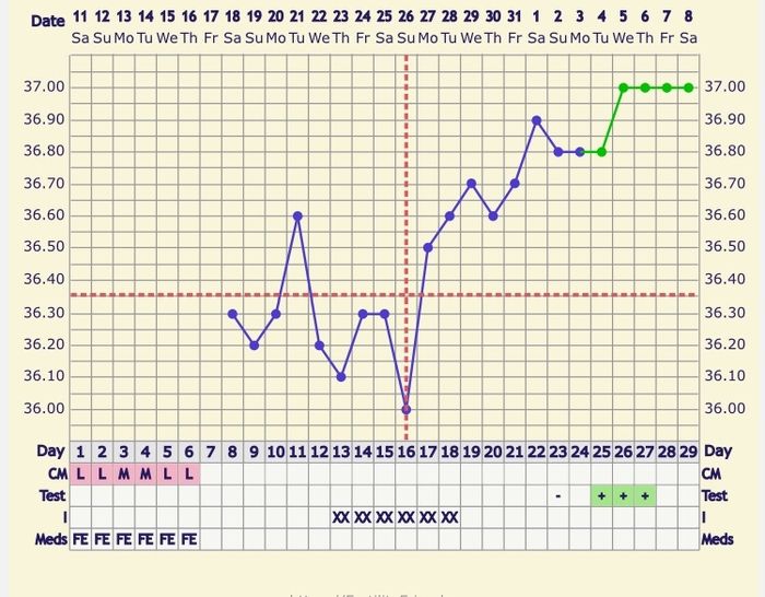 Temperatura basale - 1