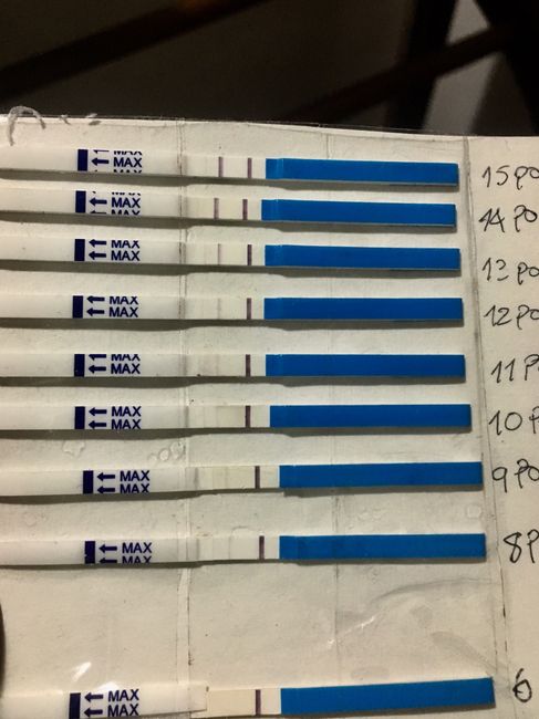 Ditemi che qualcosa vedete anche voi 🤔🤔🤔 - 1