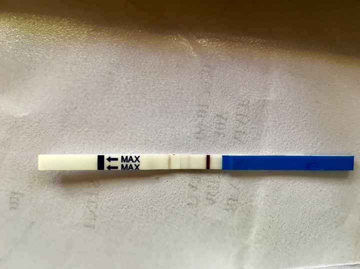 Temperatura basale - 1