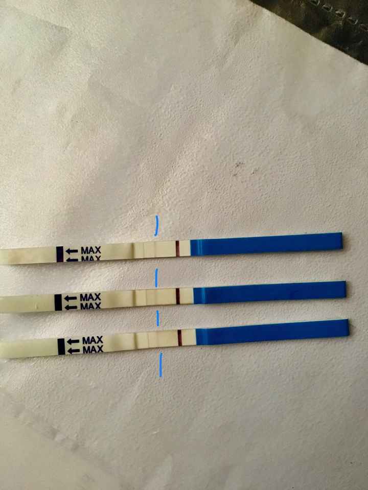 Temperatura basale - 1