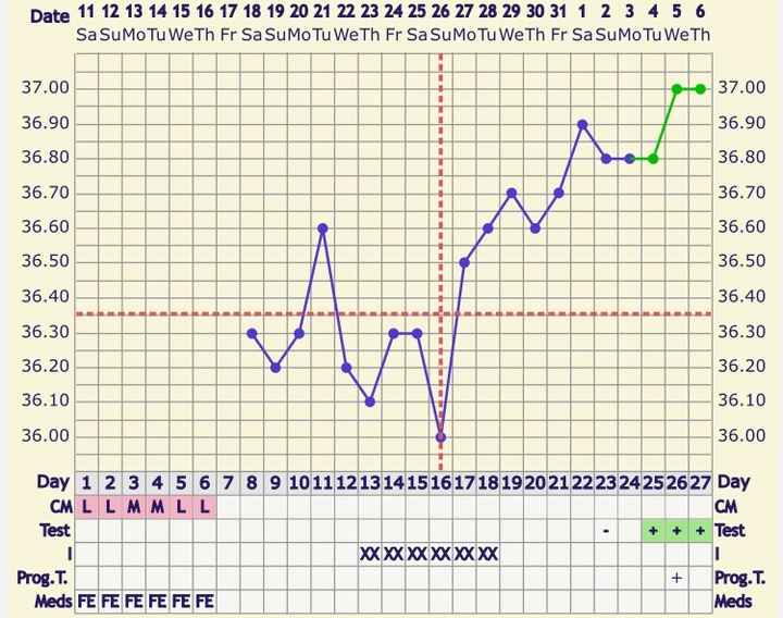 Temperatura basale - 1