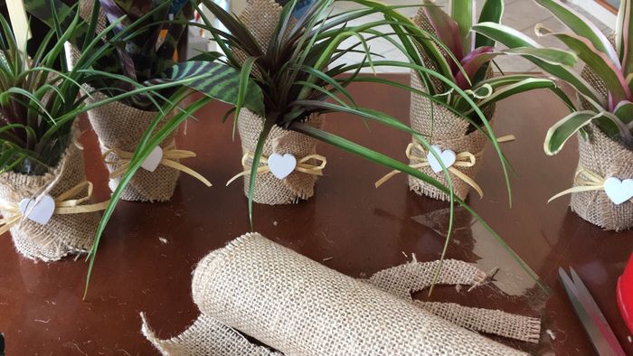 Finalmente finite 😊 - 1