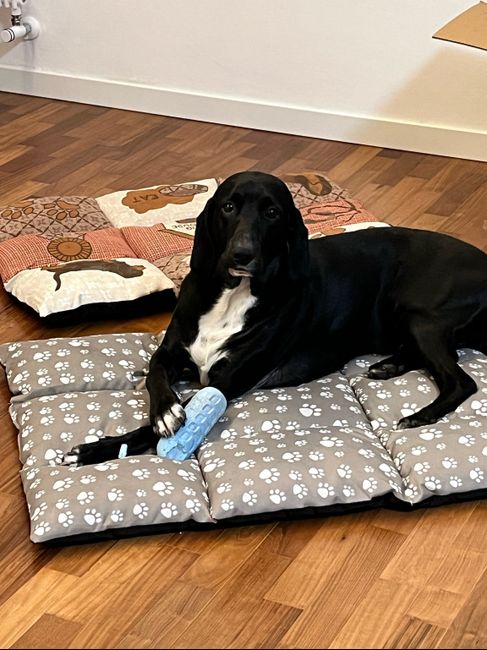 e voi siete pronti? - 1