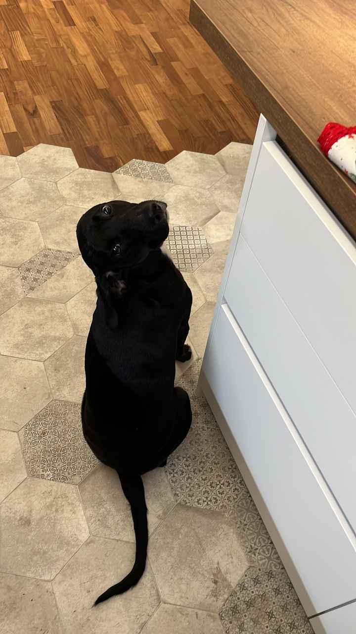 e voi siete pronti? - 1