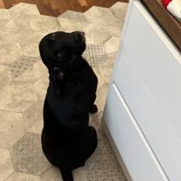 e voi siete pronti? - 1