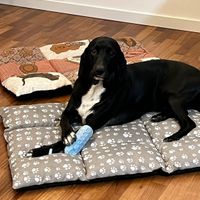 e voi siete pronti? - 1