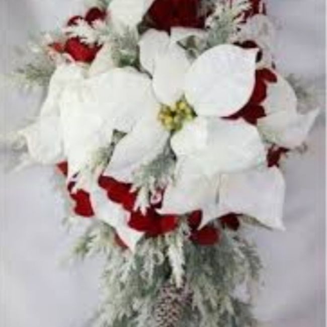 Bouquet natalizio 🎄 confido in voi colleghe 😎 12