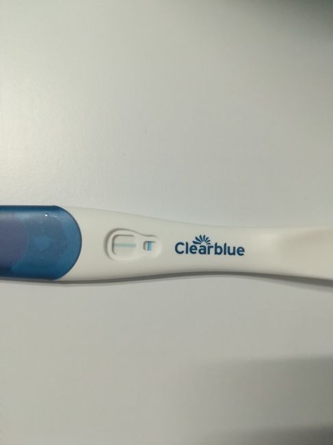 Test di gravidanza 2