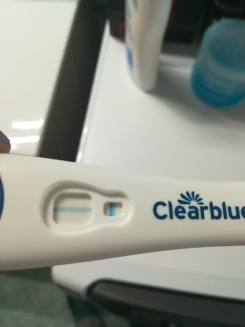 Test di gravidanza 3