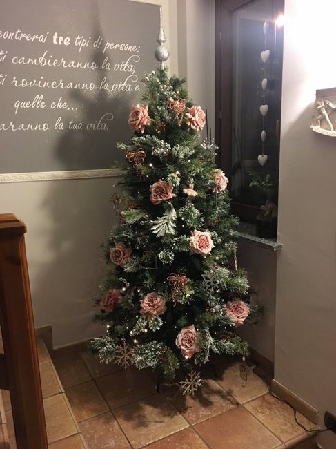 Il nostro alberoooo ? - 1