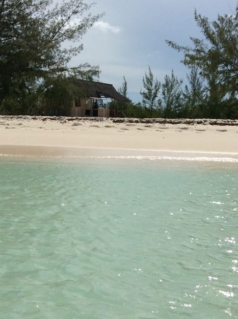 ....................