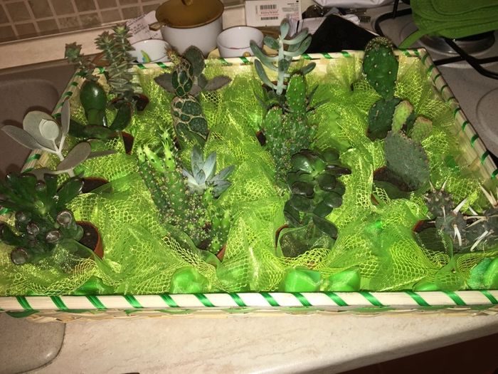 Quanto spenderete per le bomboniere??? - 2