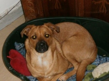 Mia piccola di casa!