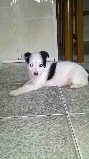 Nuvola,ultima arrivata.