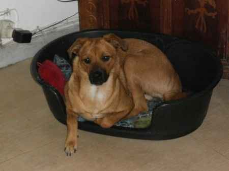 Mia la mammina ora di casa