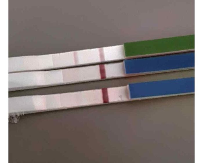 Chi non le aspetta per Aprile 2020 - 1