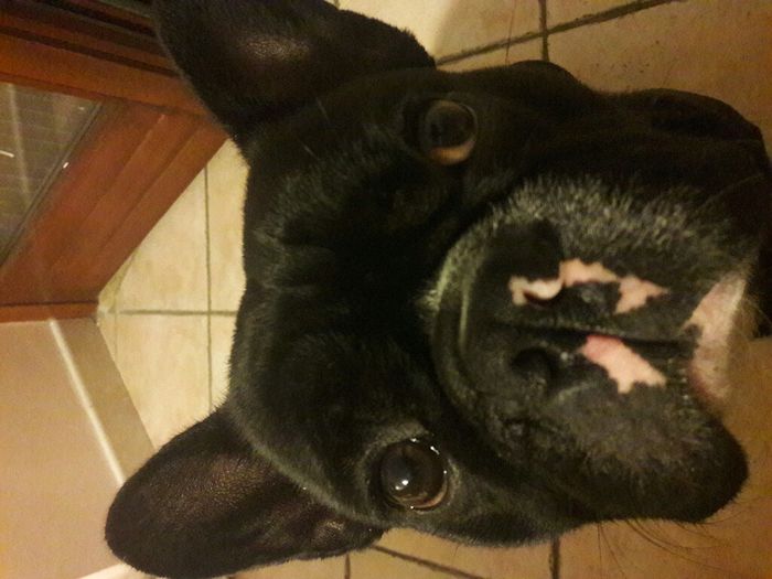 Vi presento nina! - 1