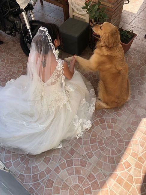 16 giugno 2018💕 - 4