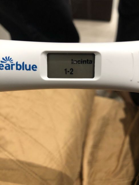 Incinta ?? 2