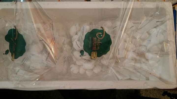 Degustazione confetti! - 3