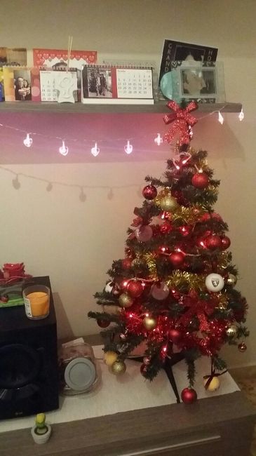 Il natale è arrivato anche a casa nostra ? - 2