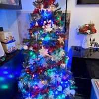 Avete mai fatto l'albero insieme? - 1