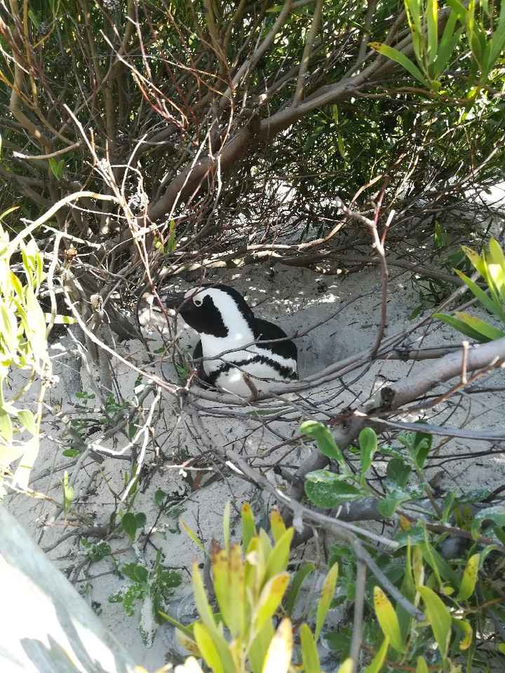 Viaggio di nozze con figli poccoli - 1