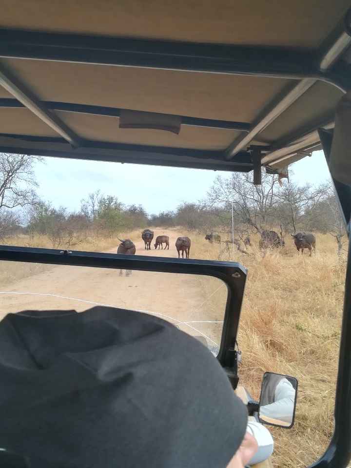 Viaggio di nozze con figli poccoli - 3