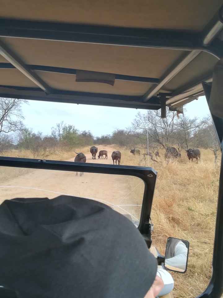 20/07/2019 un anno è passato - 4