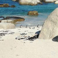 20/07/2019 un anno è passato - 1