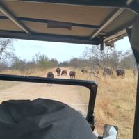 20/07/2019 un anno è passato - 4