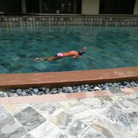 Luna di miele in africa - 1