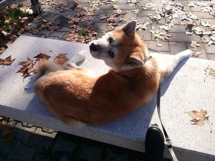 La nuova arrivata ?? - 1