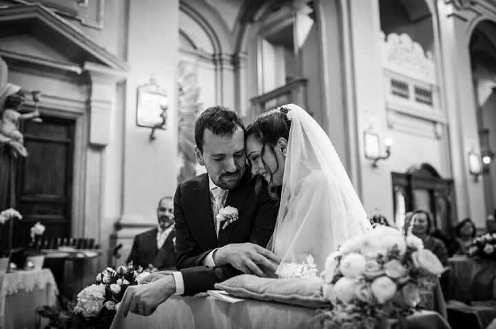 Qualche foto professionale del nostro giorno - 5