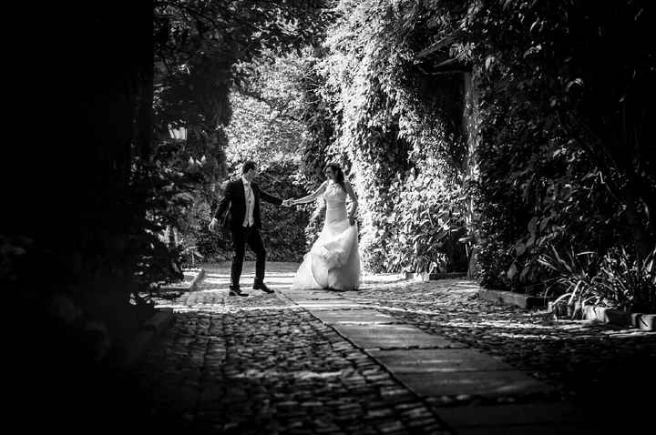 Qualche foto professionale del nostro giorno - 9