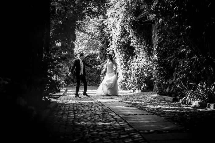 Qualche foto professionale del nostro giorno - 9