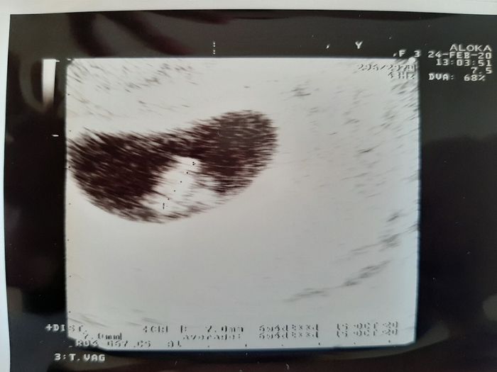 Metodo Ramzi! Chi ci sa azzeccare? - 1