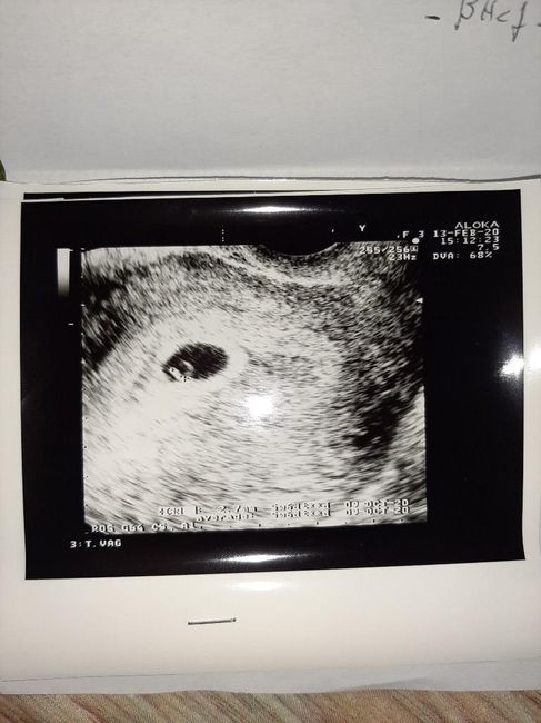 Metodo Ramzi! Chi ci sa azzeccare? - 2