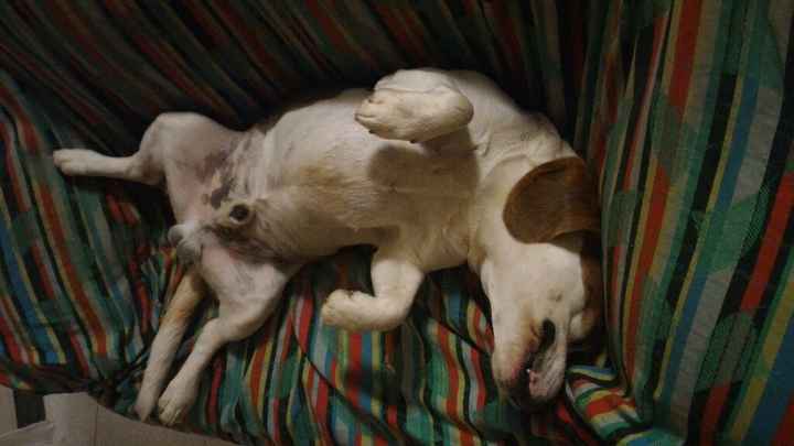 La nuova arrivata ?? - 1