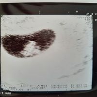 Metodo Ramzi! Chi ci sa azzeccare? - 1