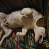 La nuova arrivata ?? - 1