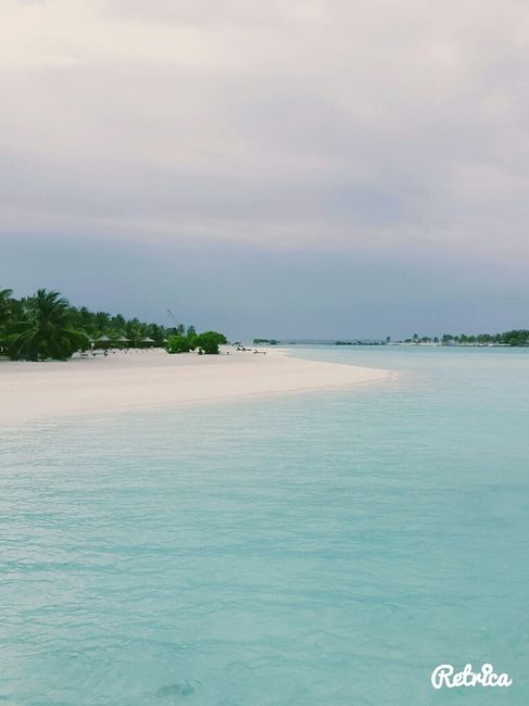 Appena tornati dalla luna di miele - 2